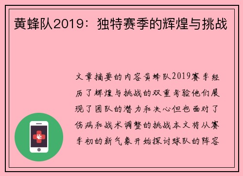 黄蜂队2019：独特赛季的辉煌与挑战